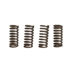 Kupplungsfedern verstärkt EBC CSK052