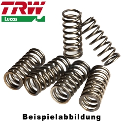 Kupplungsfedern Set TRW / Lucas MEF319-5