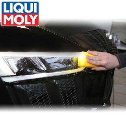 LIQUI MOLY Insektenschwamm (1548)