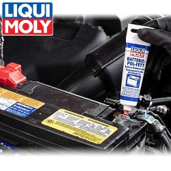 LIQUI MOLY Batterie-Pol-Fett (3139)