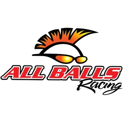 All Balls 25-1403 Kit Cuscinetti A Sfera Per Motocicli - ABEC 3, Guarnizioni Triple Labbro, Grasso Chevron SRI 2 (2 Cuscinetti + 2 Guarnizioni)